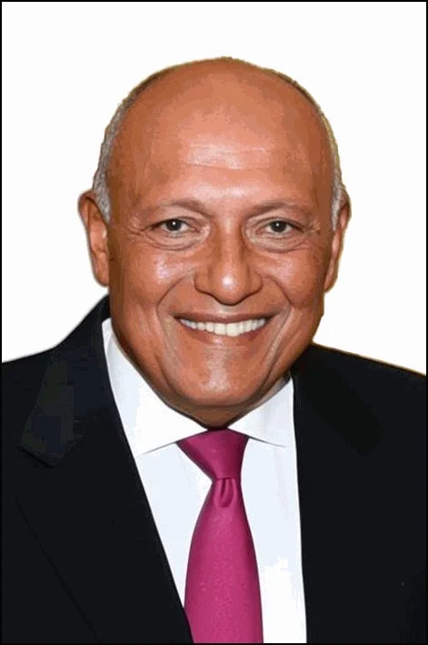 سامح شكرى