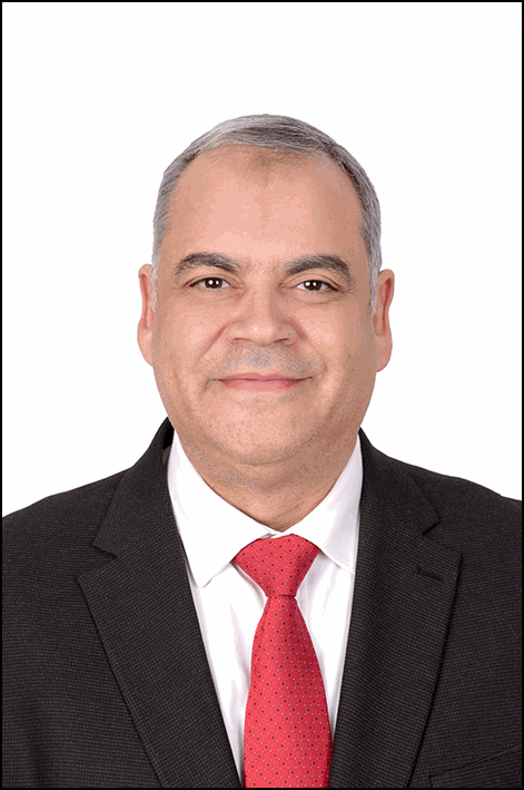 محمود الشيخ