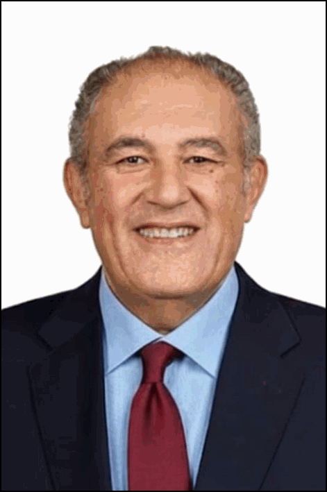 عمرو الحفني