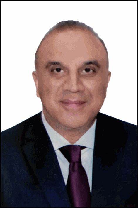 وليد المليجى