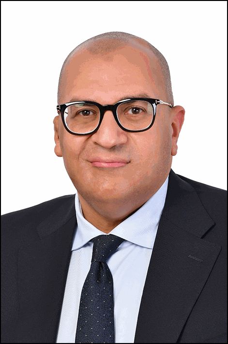 أحمد الشناوي