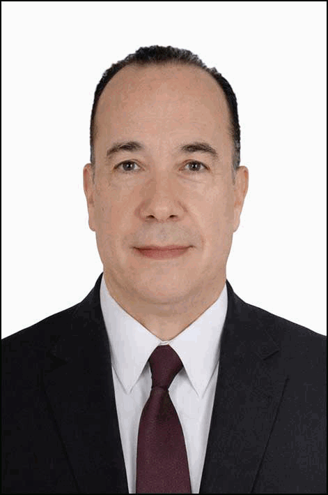 هشام سليم