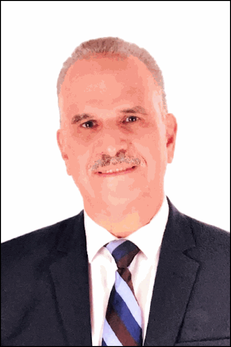 محمد حمدى دسوقى