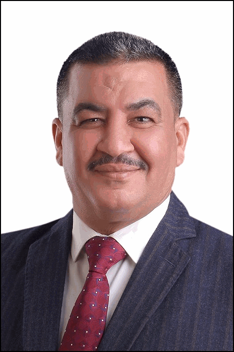 محمود المنوفي