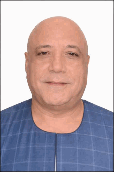 محمود الجندى