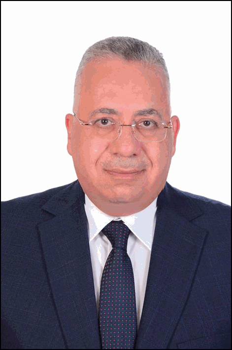 ايهاب مختار جندي