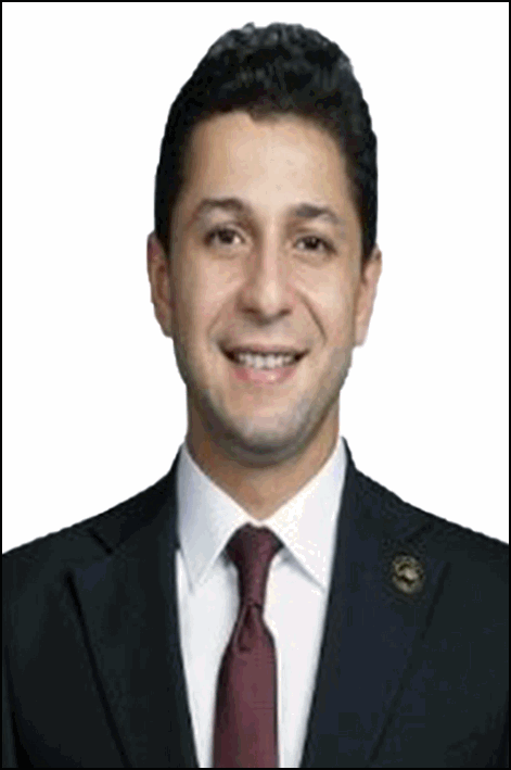 الدكتور احمد علاء الدين