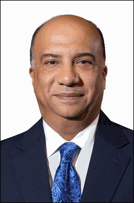 محمد مصيلحى