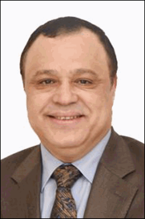 حسام الصيرفى