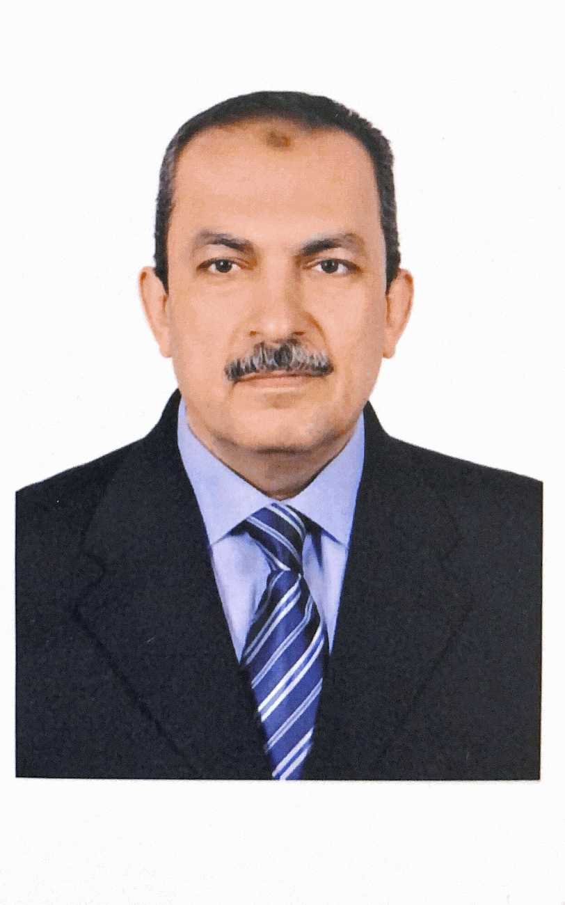 هشام مسعد الششتاوي أحمد